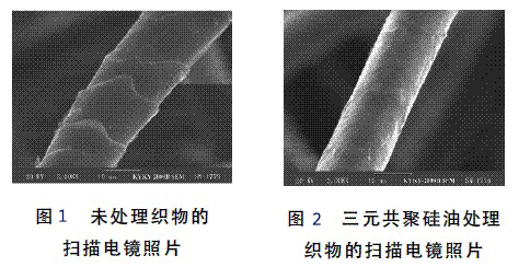 三元共聚显微对比