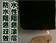 水性阻燃涂层胶FUNCTEX（菲克斯）F-274