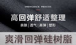 /upload/2021/01/19/14582392ec82.jpg/250x150_Min