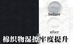 干湿擦牢度提升剂GRISEX格威赛斯®G-1148