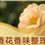 /upload/2025/07/03/11414502b97d.jpg/250x150_Min